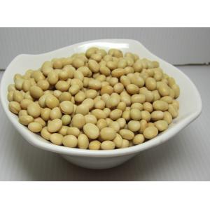 【本草甘露】嚴選**自然農法黃豆500g(包) ;可催芽黃豆 
