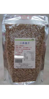 【本草甘露】嚴選**貓草,小麥種子500G(包)夾鍊立袋